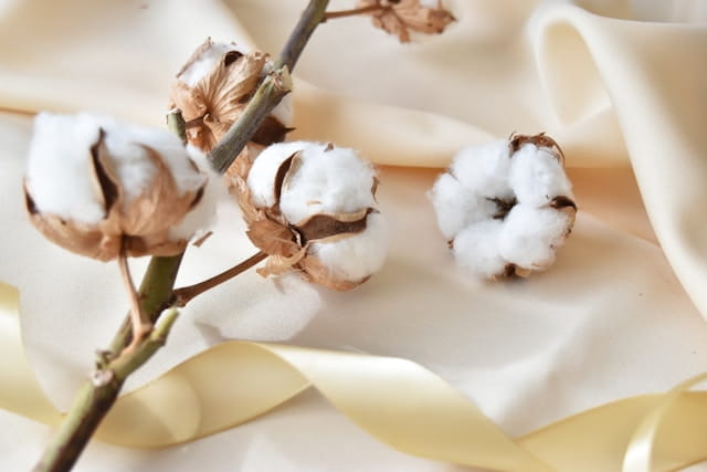 Gildan Ultra Cotton vs Heavy Cotton: Which T-Shirt Is Better?